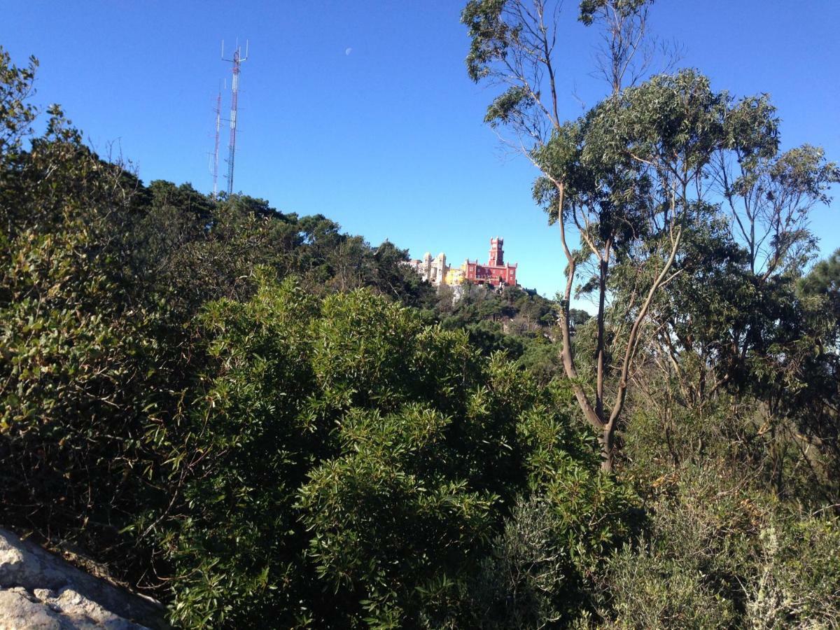 Casas Do Patio Sem Cantigas 4 Sintra Zewnętrze zdjęcie
