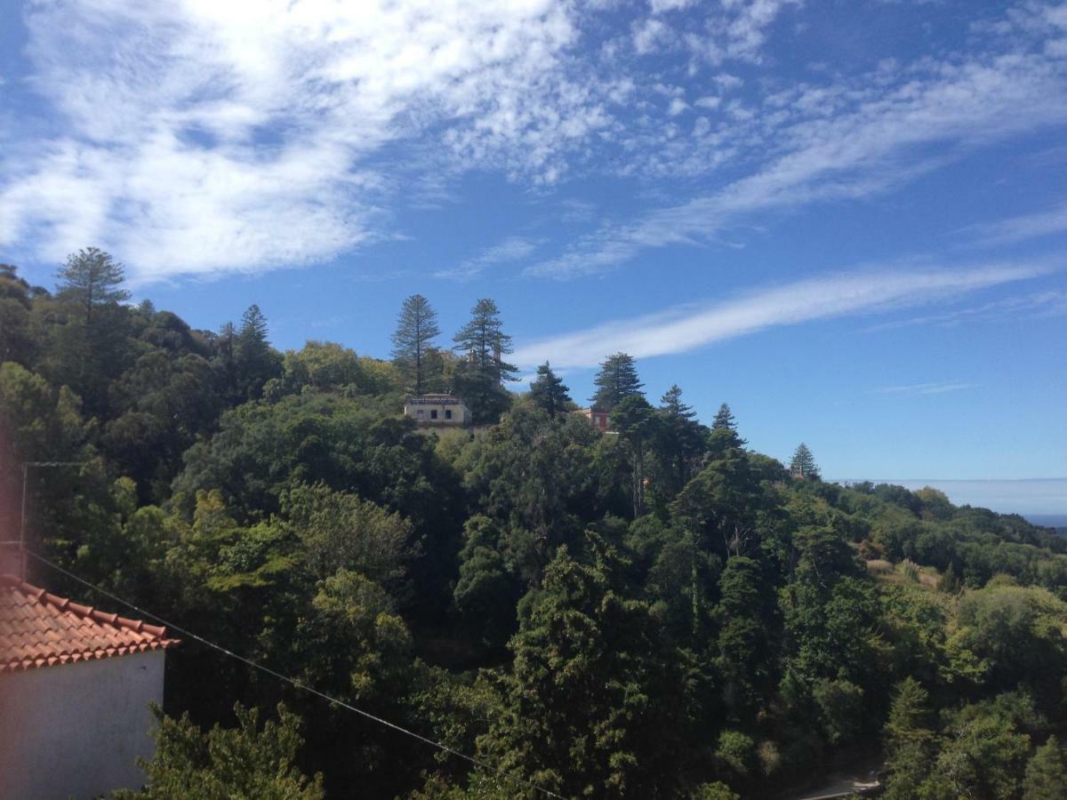 Casas Do Patio Sem Cantigas 4 Sintra Zewnętrze zdjęcie